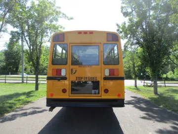 10243-5.jpg