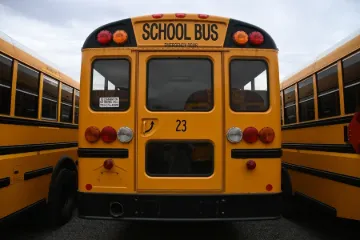 24530-3.webp