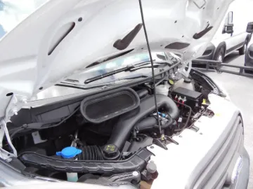 24927-15.webp