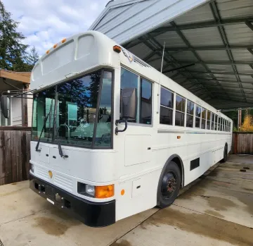 25214-3.webp