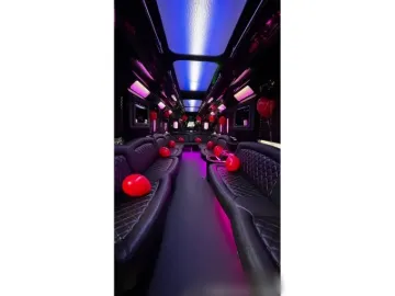 25736-1.webp