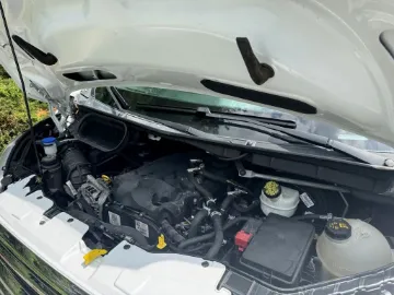 25778-18.webp