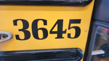 50021-1.webp
