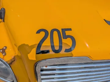 51231-1.webp