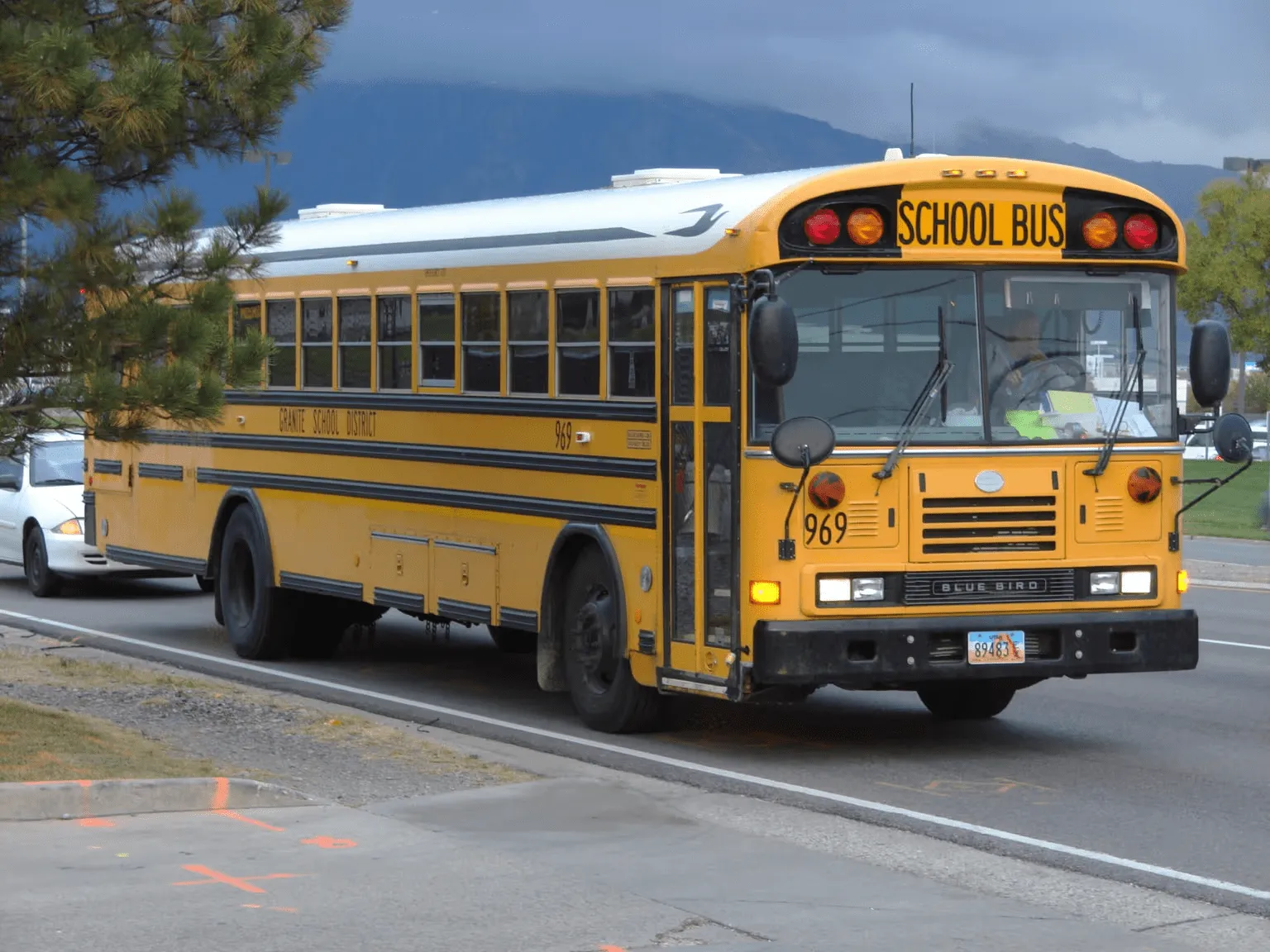 Should You Lease or Buy Your Next Bus? A Real-World Guide for Fleet Owners