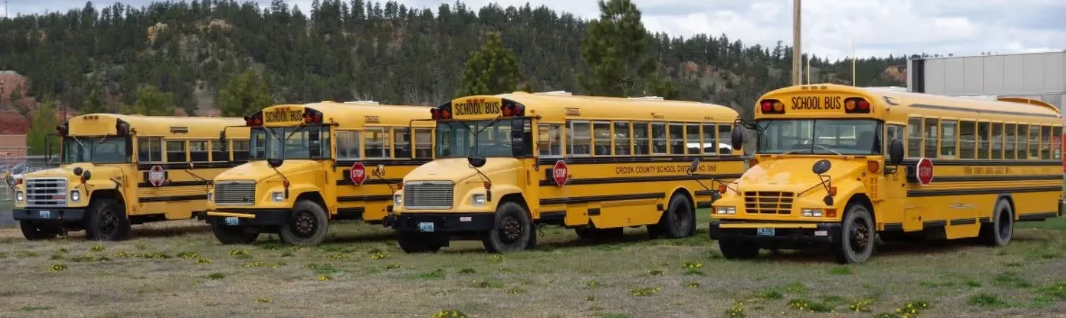 Bulk Bus Sales for Export: Why It Works in 2025