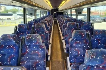 Picture of 29010