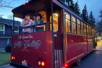 Picture of 1986 Trolley 