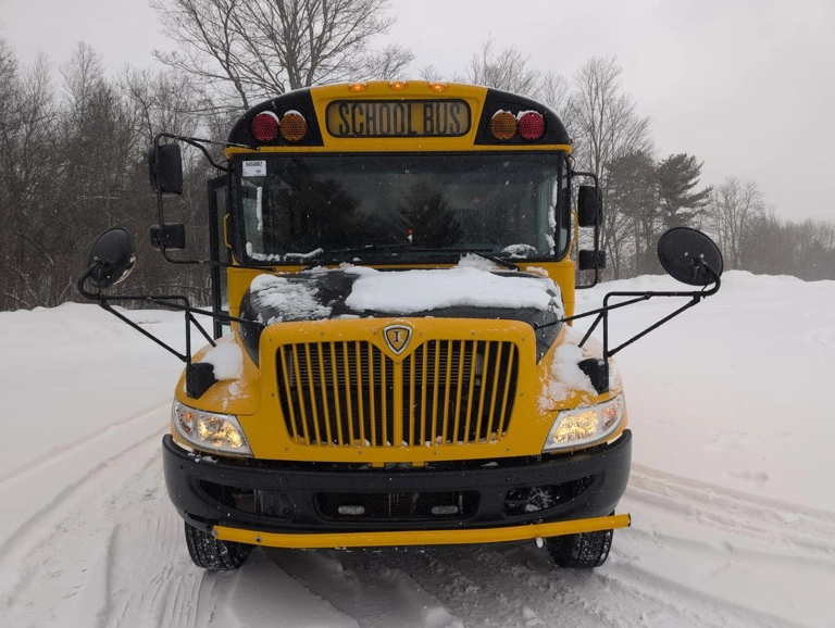 Picture of 2019 IC International ADA School Bus