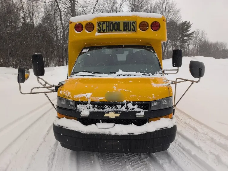Picture of 2019 Chevrolet Girardin Microbird School Bus