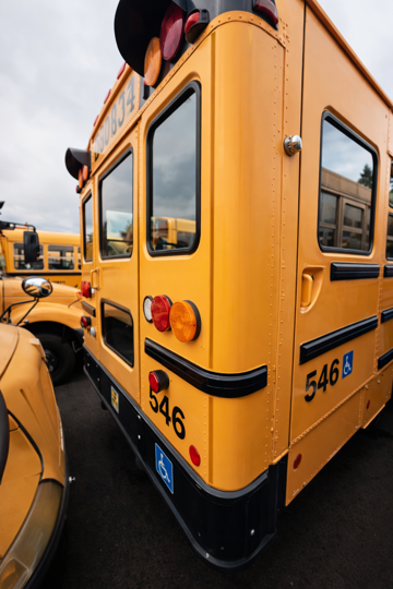 Picture of 2009 International CE ADA School Bus