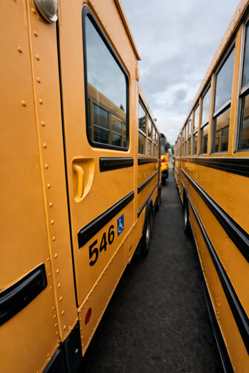 Picture of 2009 International CE ADA School Bus