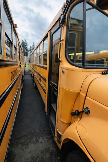 Picture of 2009 International CE ADA School Bus