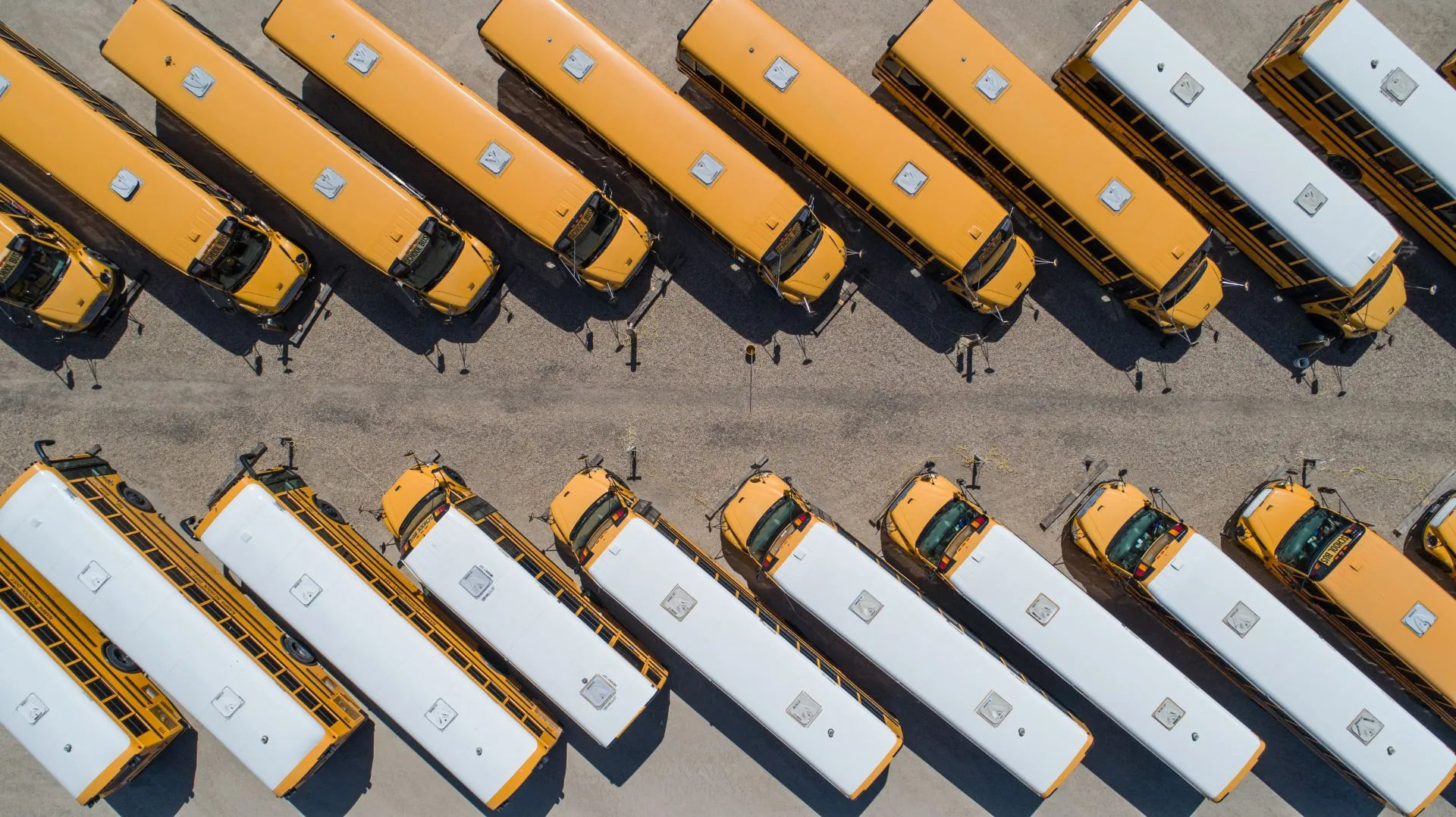 The free bus push is spreading. The funding gap is growing.