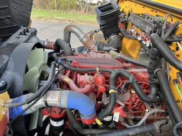 Picture of 2020 IC CE School Bus
