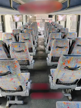 Picture of 2010 Temsa TS-35 Coach