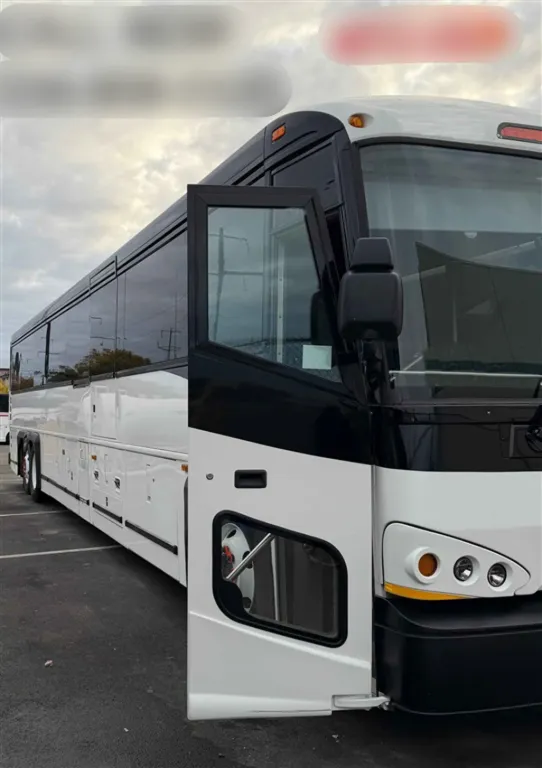 Picture of 2009 MCI D 4505 ADA Coach
