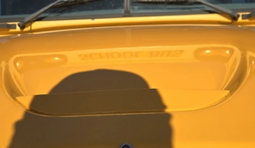 Picture of 2012 Blue Bird Vision ADA School Bus