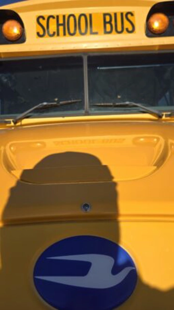 Picture of 2012 Blue Bird Vision ADA School Bus