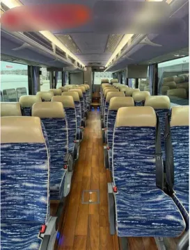 Picture of 2014 Tesma TS-35 ADA Coach Bus