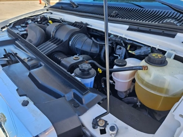 Picture of 2013 Ford E350 Super Duty ADA Shuttle Bus