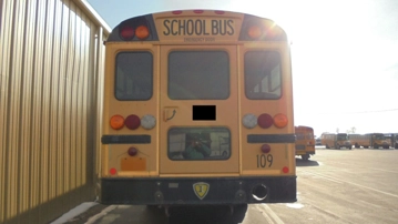 Picture of 2010 International School Bus