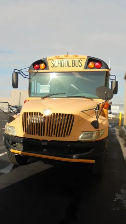 Picture of 2010 International School Bus