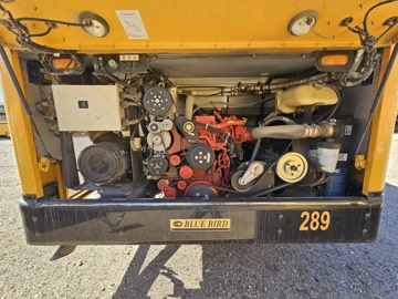 Picture of 2019 Blue Bird All American T3 RE 4006 Bus