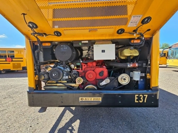 Picture of 2019 Blue Bird T3 RE School Bus