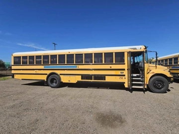 Picture of 2013 International PB105 School Bus