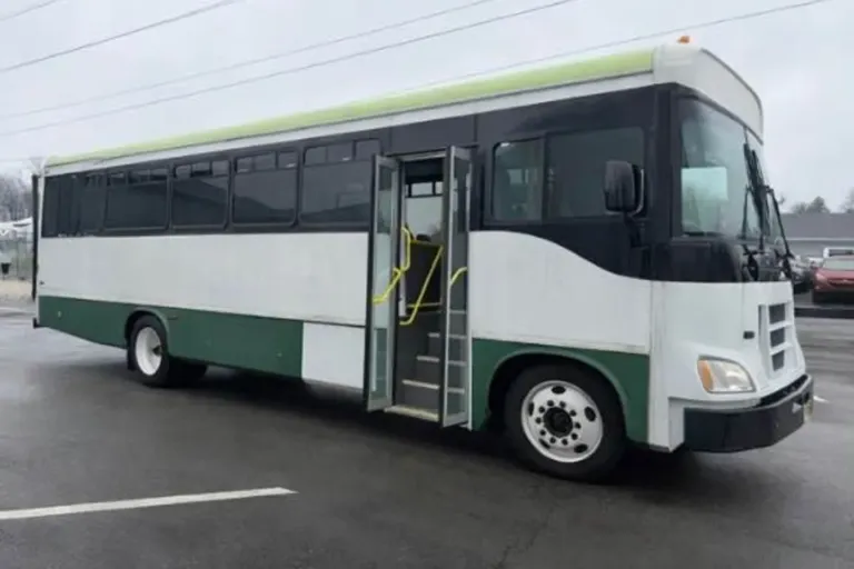 Picture of 2016 Freightliner Glaval 29P ADA