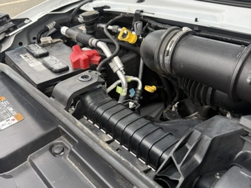 Picture of 2024 Ford E450 Shuttle Bus