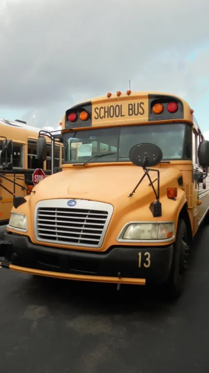 Picture of 2011 Bluebird School Bus