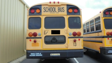 Picture of 2011 Bluebird School Bus