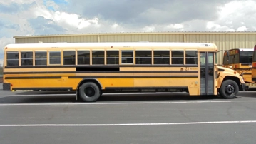 Picture of 2013 Bluebird School Bus