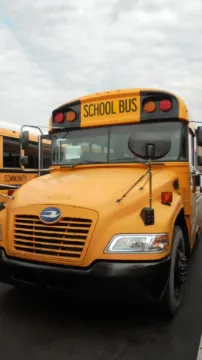 Picture of 2016 Bluebird Conventional School Bus