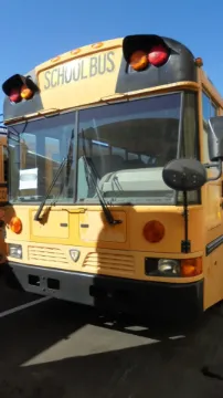 Picture of 2011 International School Bus