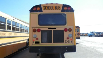 Picture of 2008 International School Bus