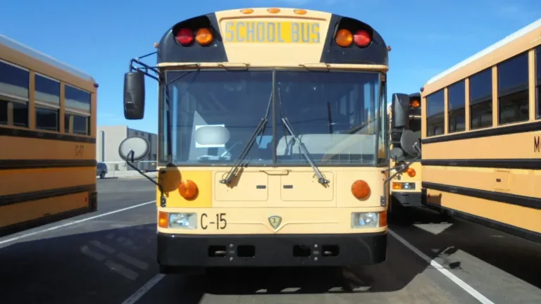 Picture of 2008 International School Bus