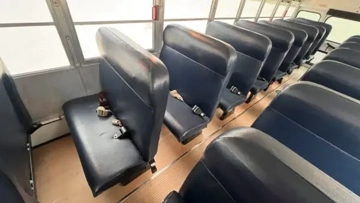 Picture of 2019 Blue Bird Vision School Bus