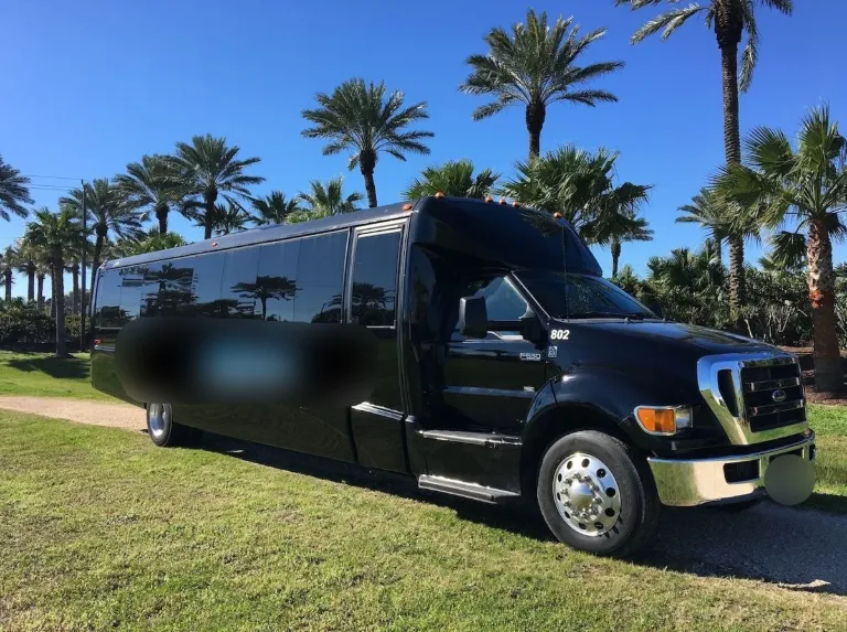Picture of 2013 Ford F650 Mid Size Bus