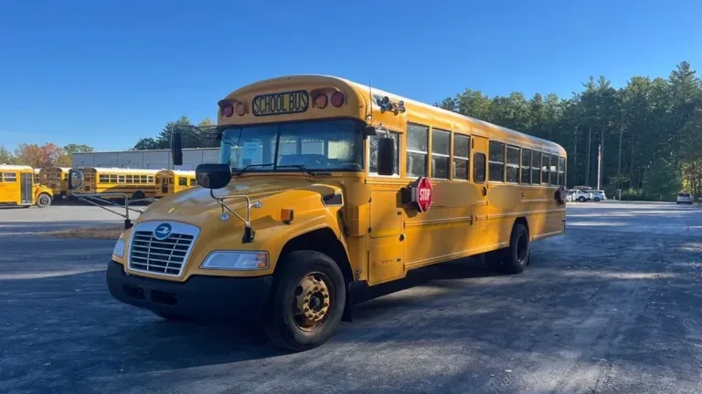 Picture of 2019 Blue Bird Vision School Bus