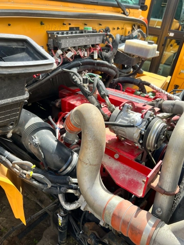 Picture of 2016 IC ADA School Bus