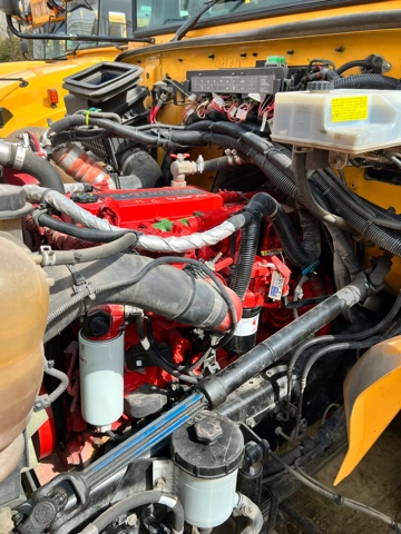 Picture of 2016 IC ADA School Bus