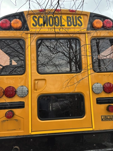 Picture of 2020 IC CE School Bus