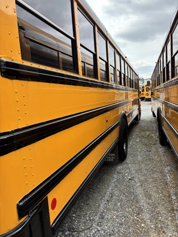 Picture of 2020 IC CE School Bus