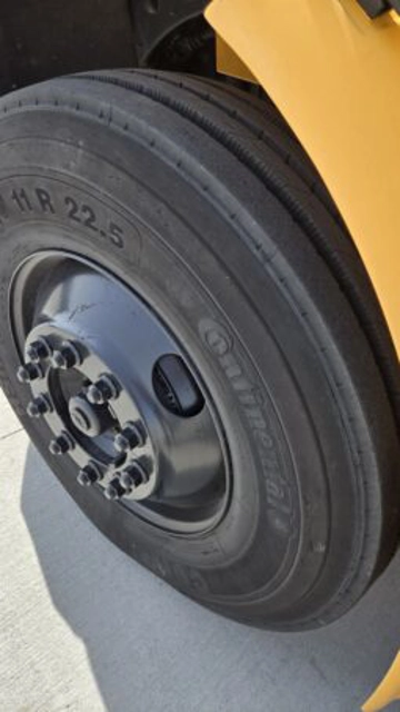 Picture of 2010 Thomas Freightliner School Bus