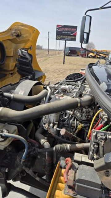 Picture of 2010 Thomas Freightliner School Bus
