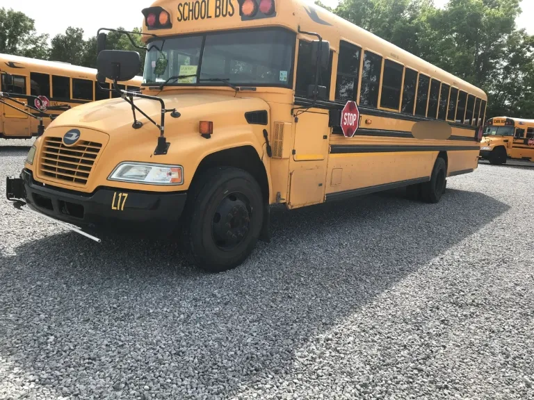 Picture of 2020 Blue Bird Conventional School Bus