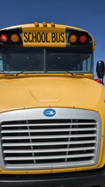 Picture of 2009 Blue Bird School Bus